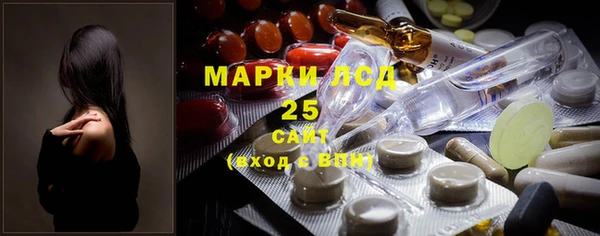 молекула духа Арсеньев