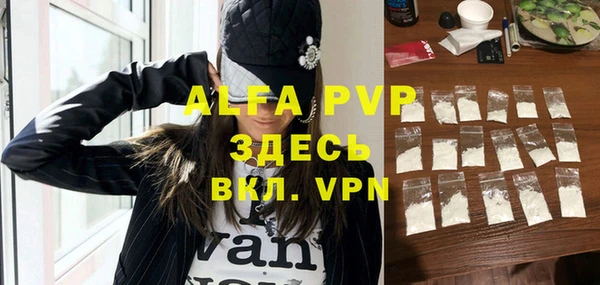 молекула духа Арсеньев