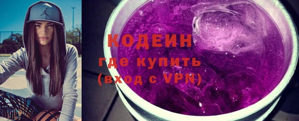 молекула духа Арсеньев