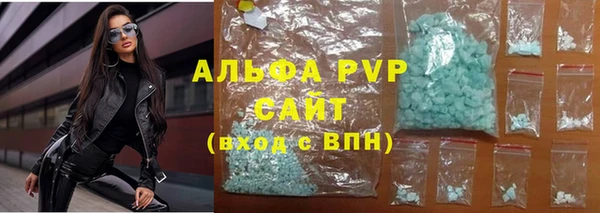 молекула духа Арсеньев