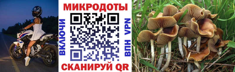 Псилоцибиновые грибы ЛСД  Лермонтов 